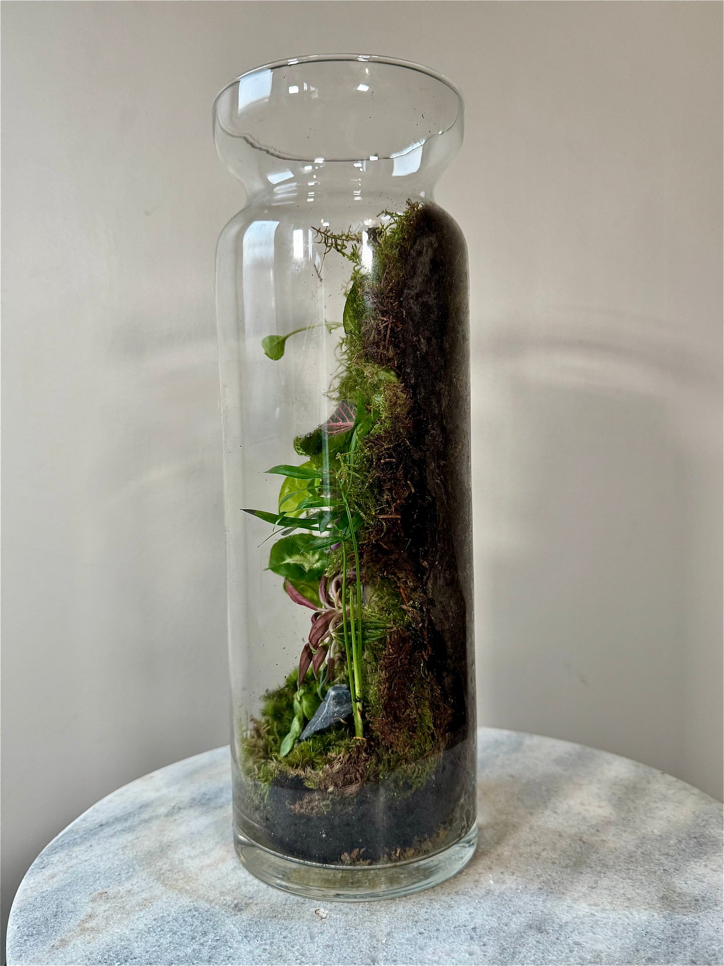 Tall Glass Moss Terrarium