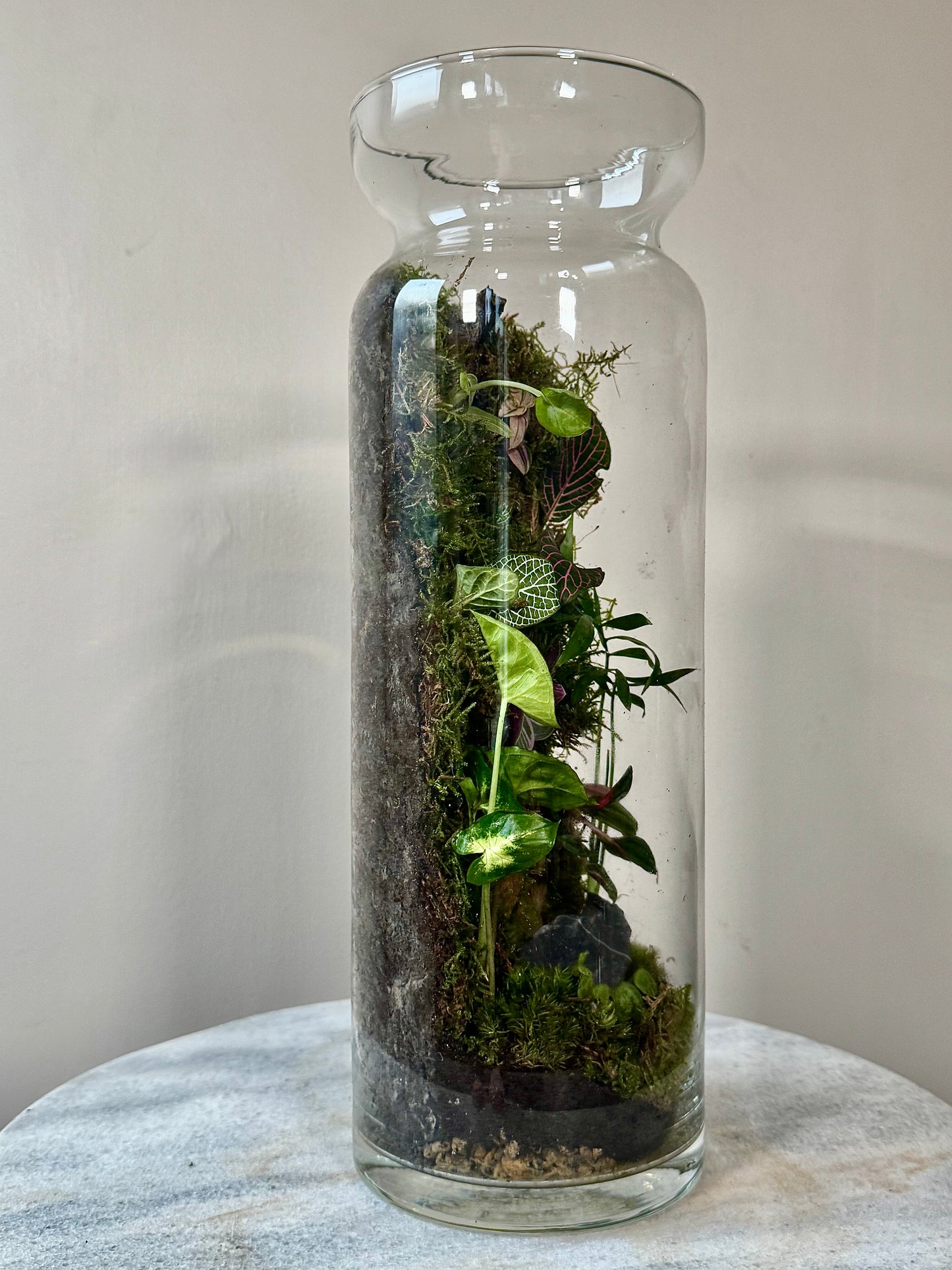 Tall Glass Moss Terrarium