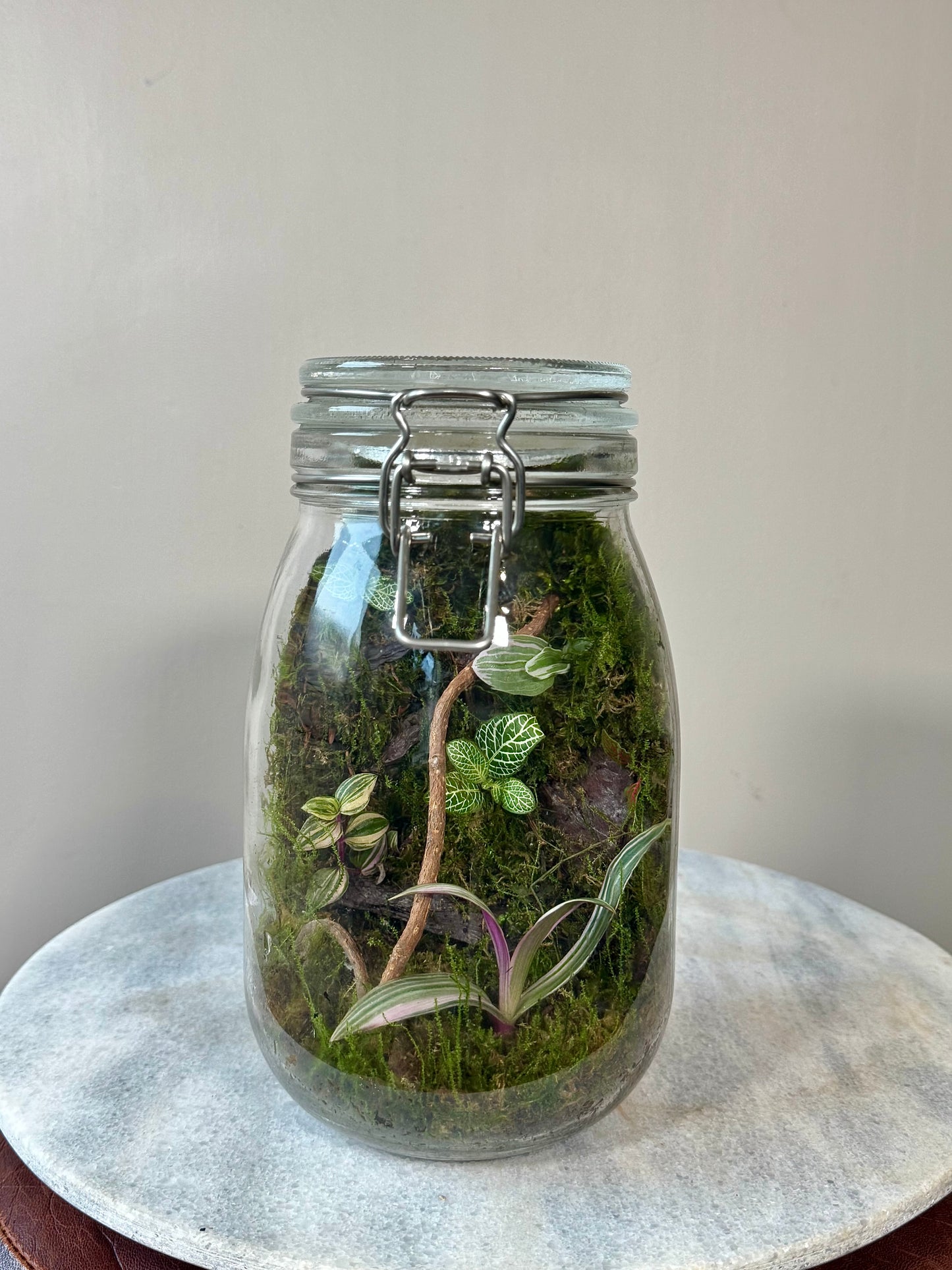 Glass Clip Jar Terrarium