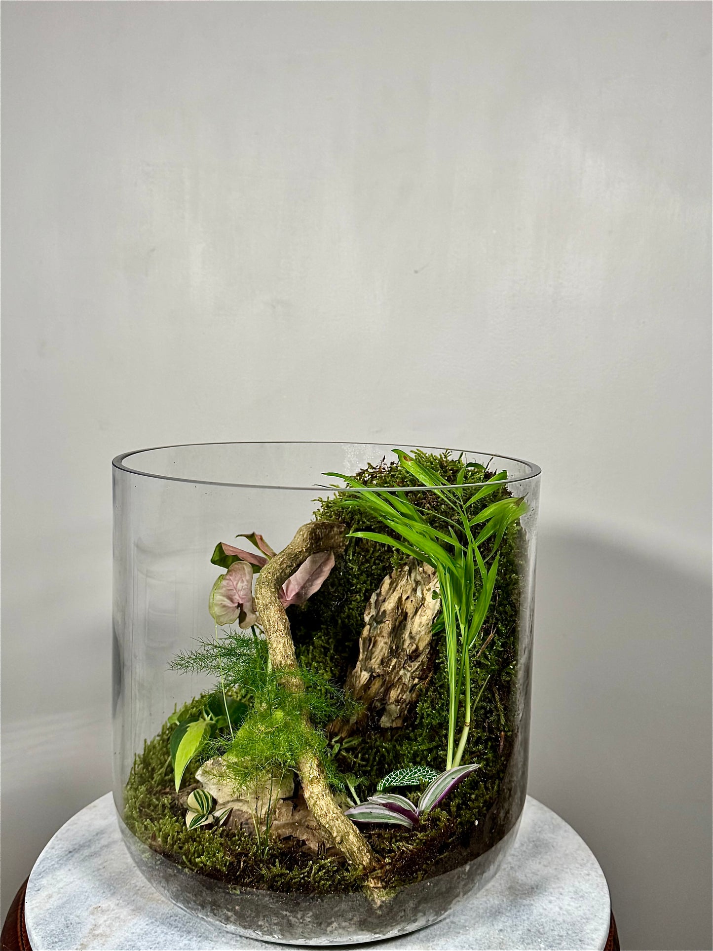 Extra Large Glass Terrarium with Lid