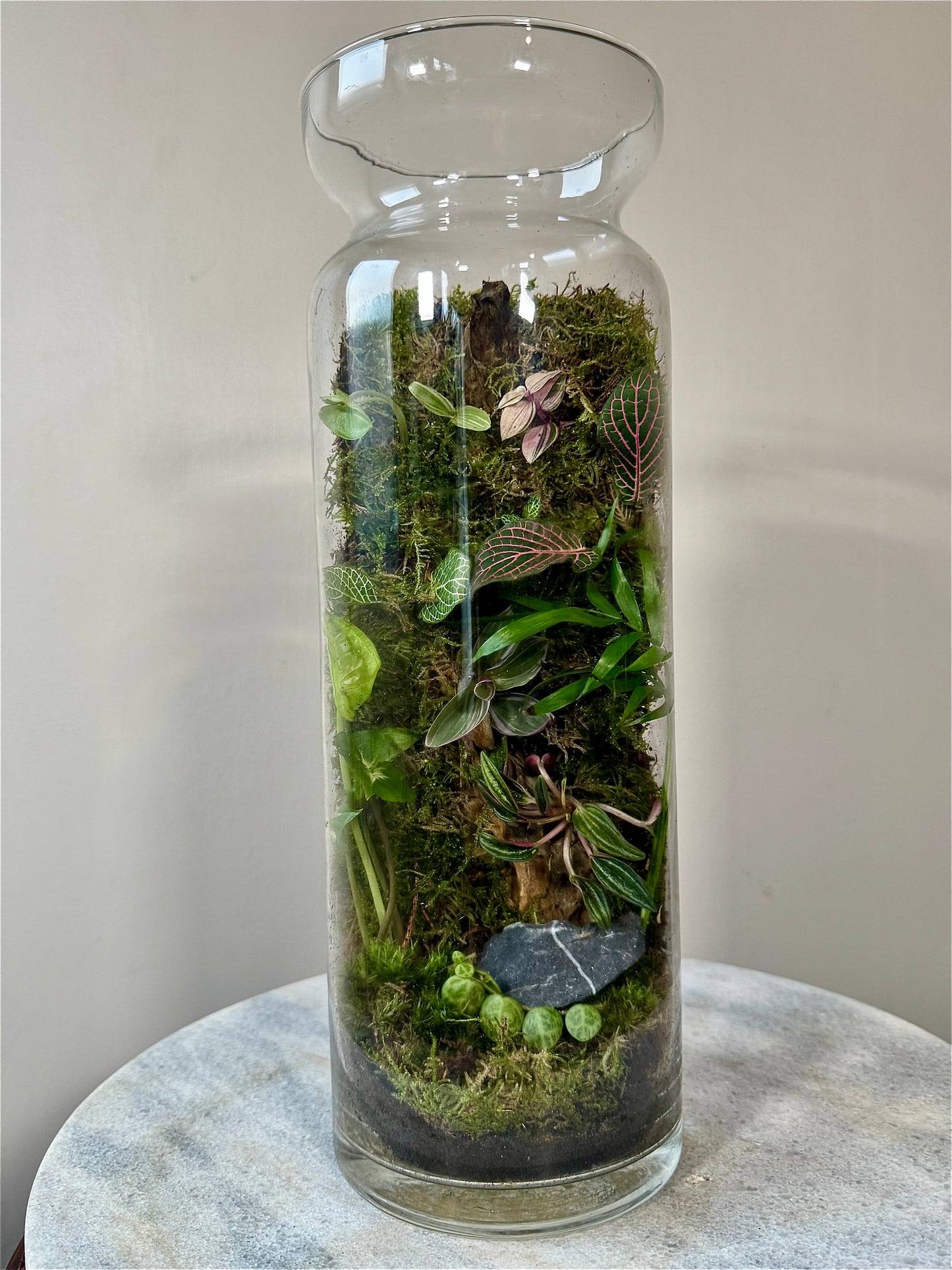 Tall Glass Moss Terrarium