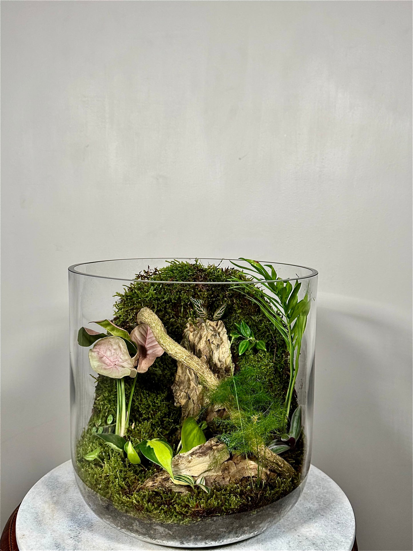 Extra Large Glass Terrarium with Lid