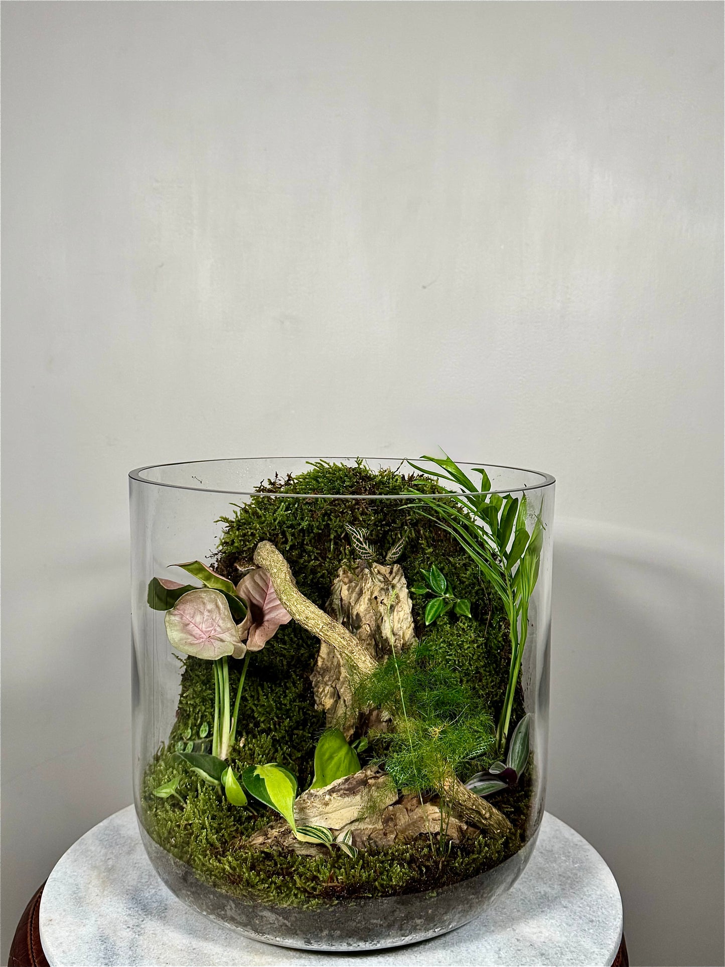 Extra Large Glass Terrarium with Lid