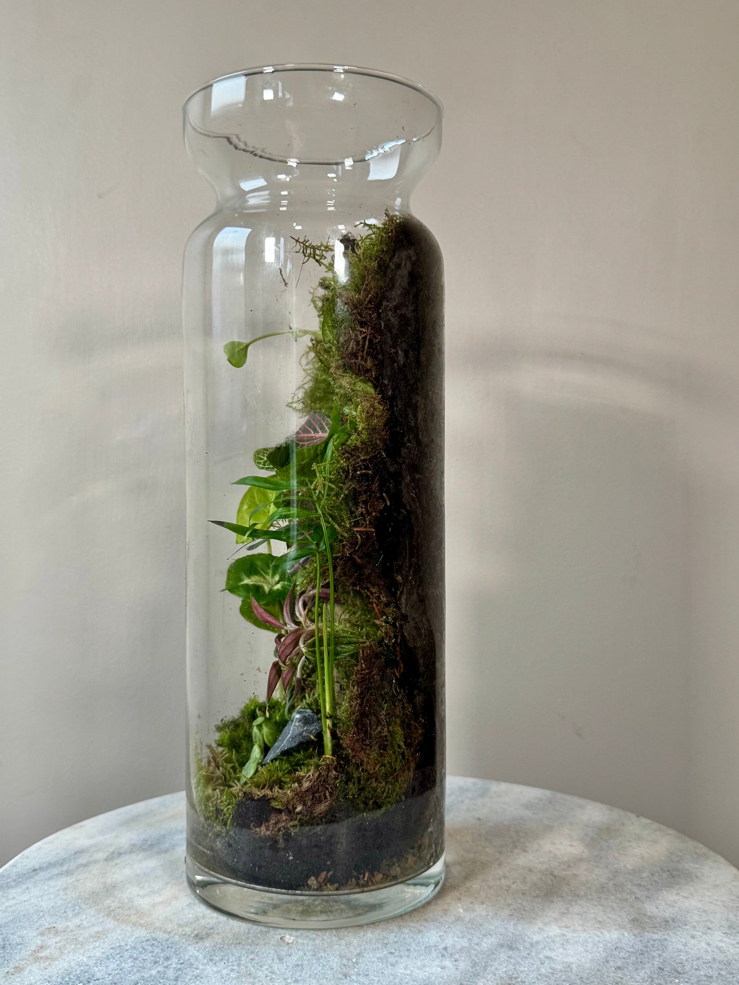 Tall Glass Moss Terrarium