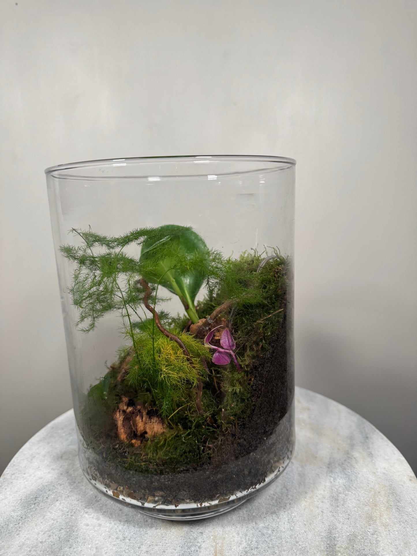 Large Glass Terrarium Bottle Garden