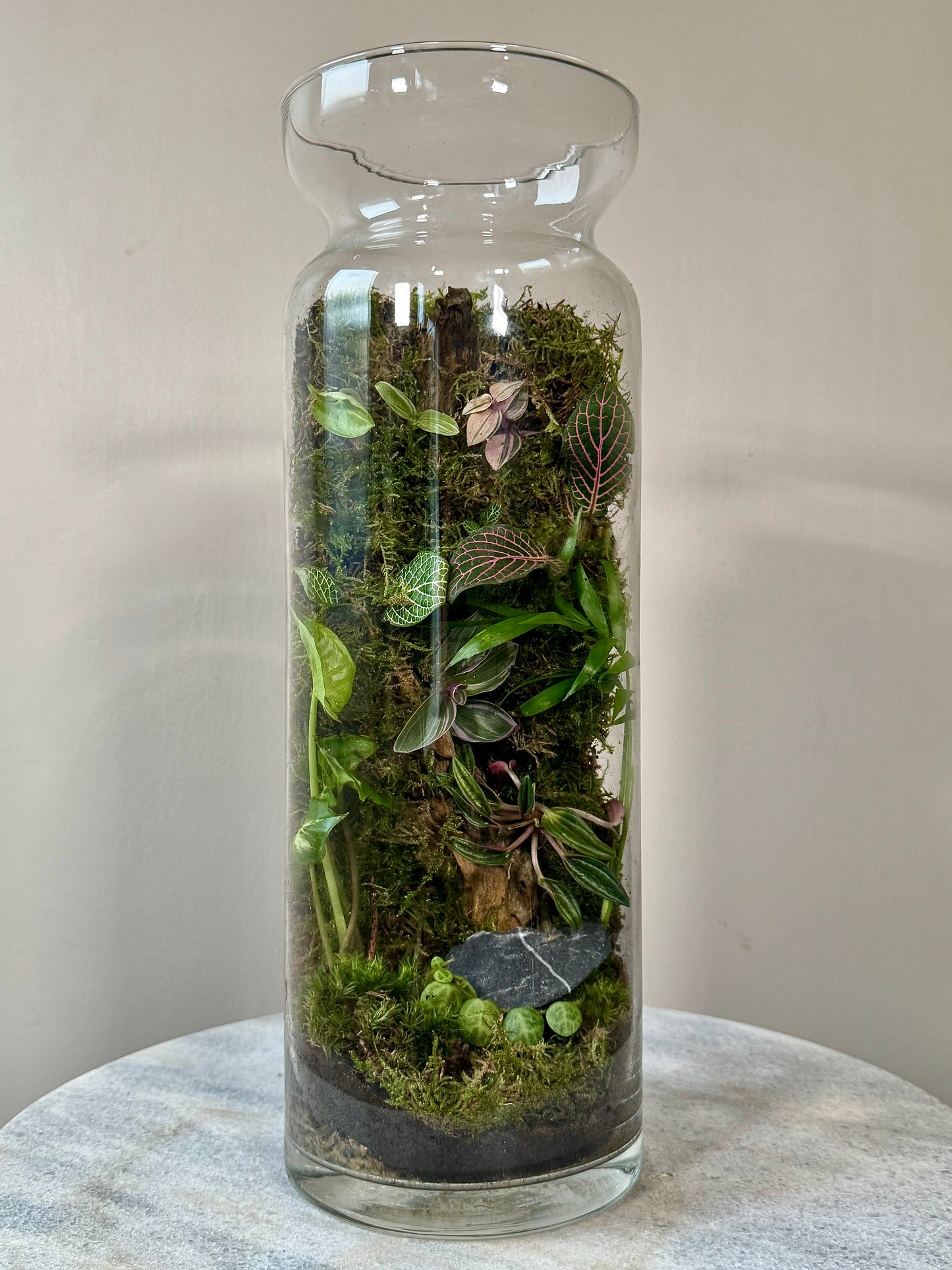 Tall Glass Moss Terrarium