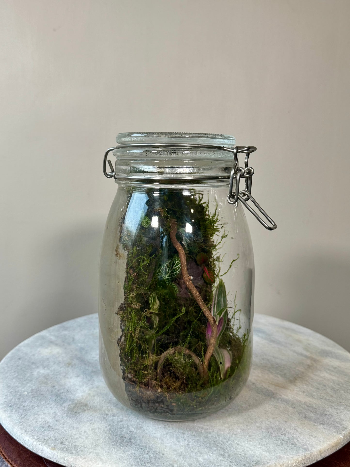 Glass Clip Jar Terrarium