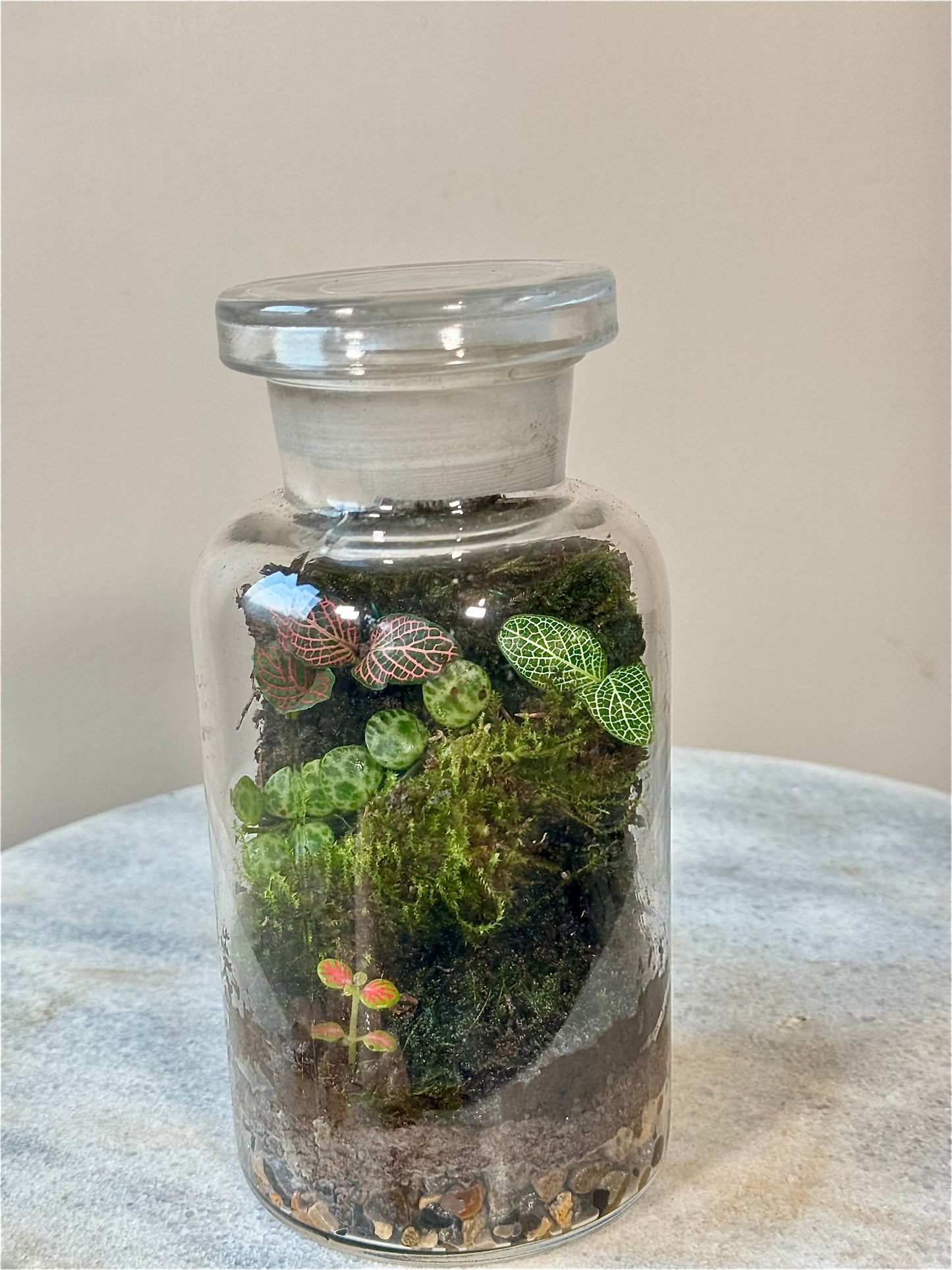 Chemistry Bottle Moss Terrarium