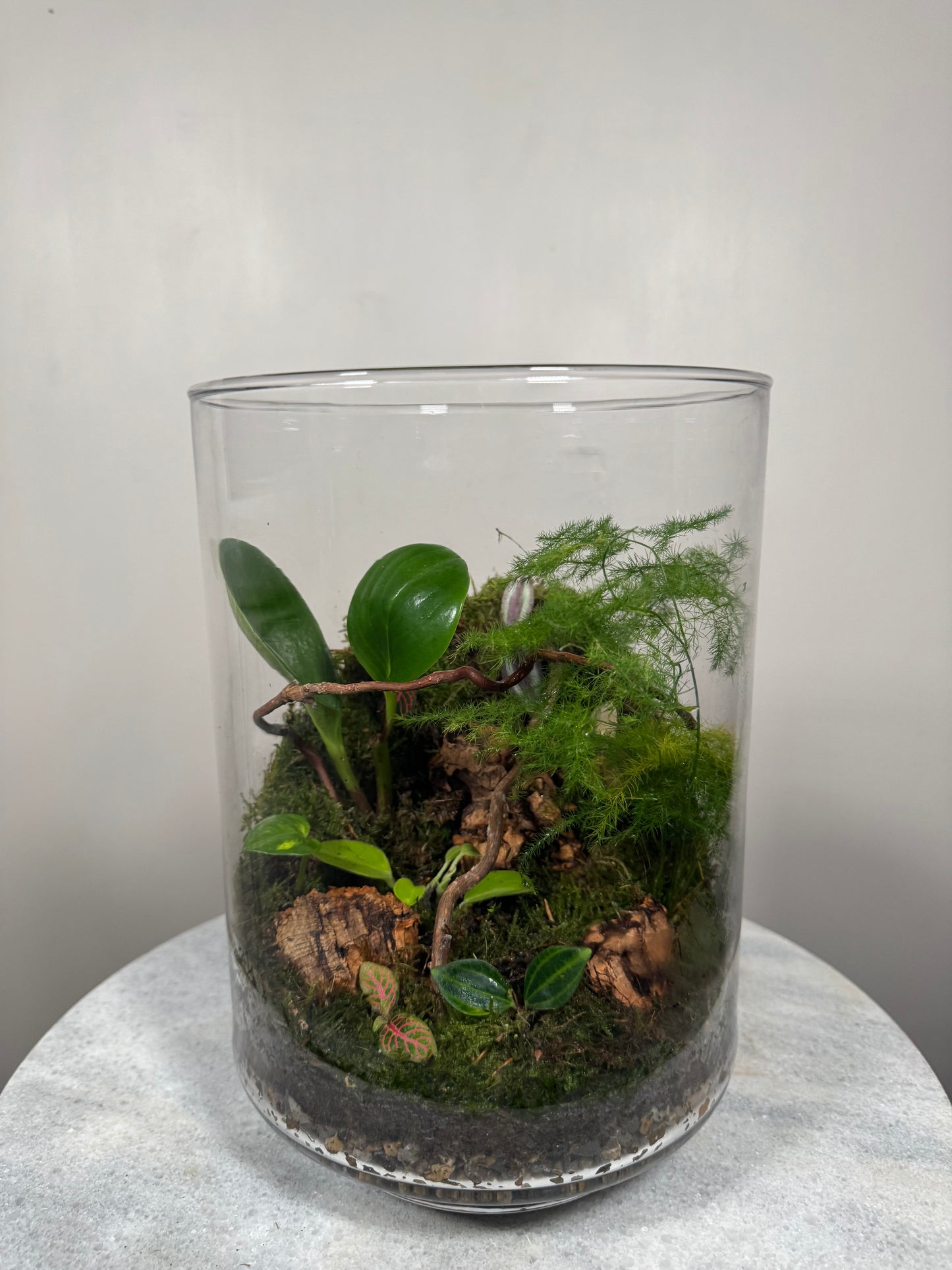 Large Glass Terrarium Bottle Garden