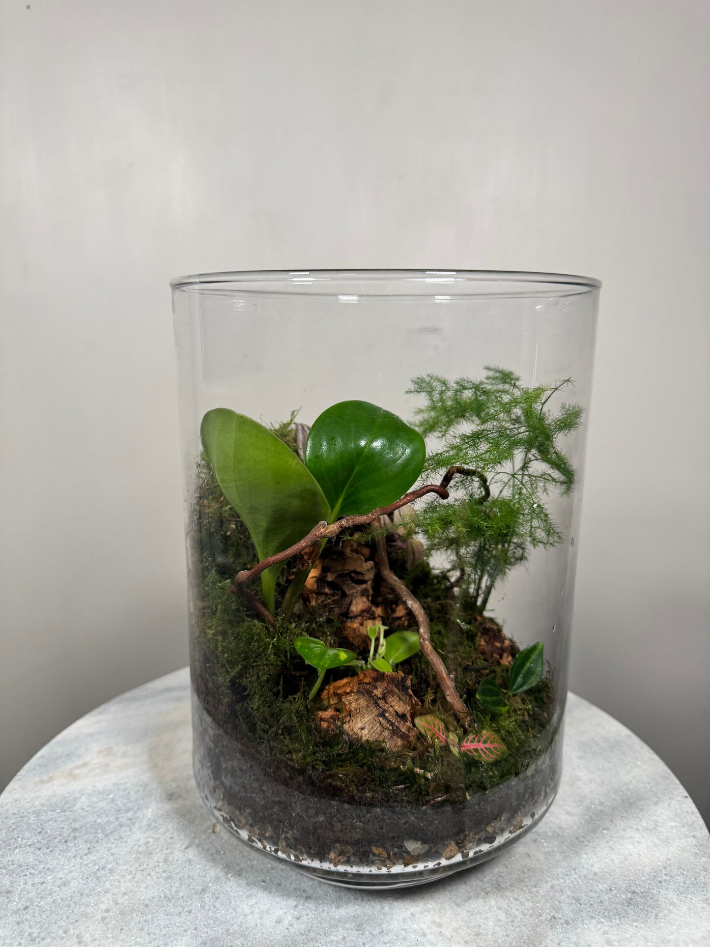 Large Glass Terrarium Bottle Garden